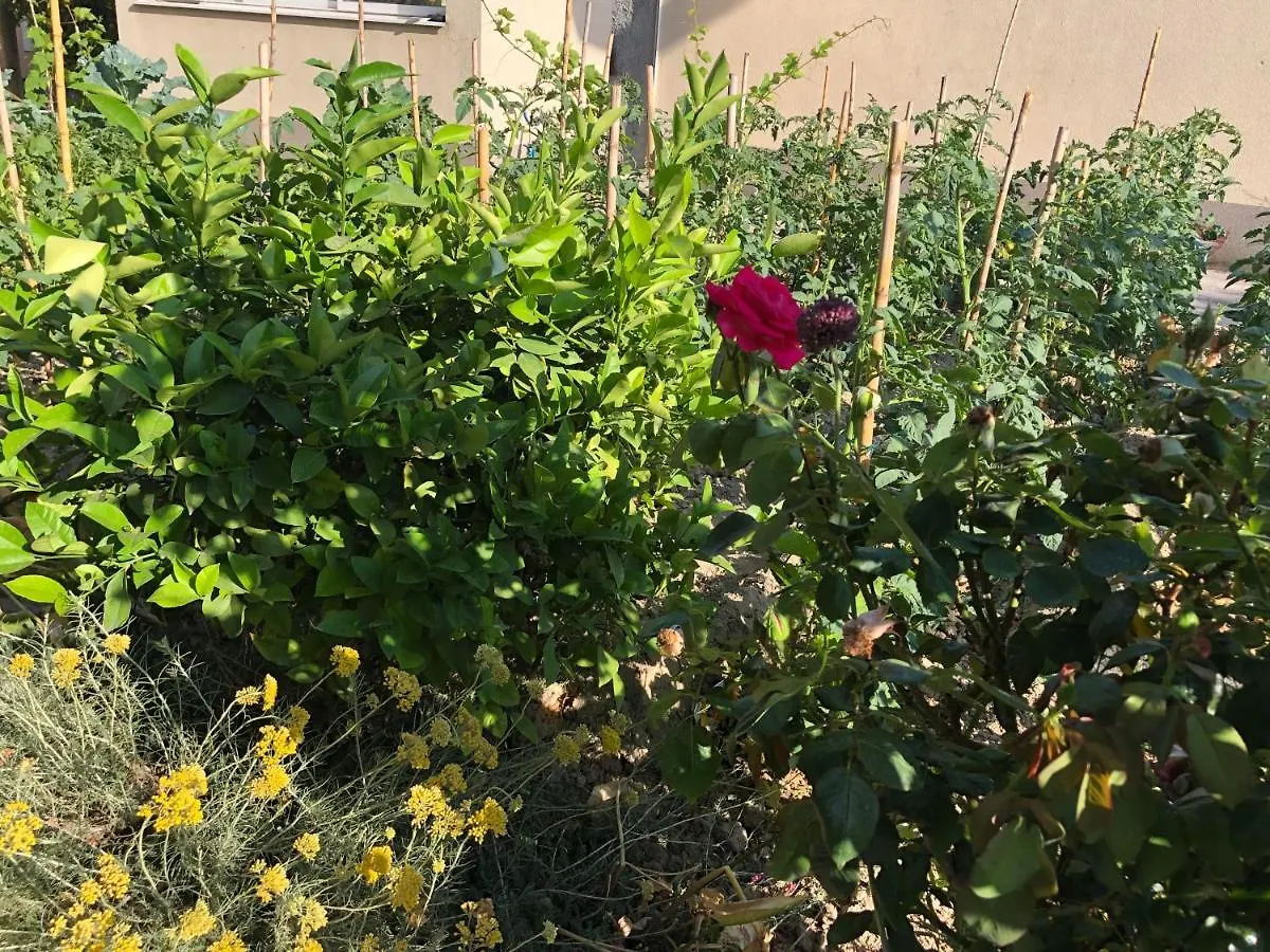 Garden Apartman 스플리트